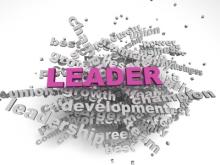 the ceo magazine, leadership development,