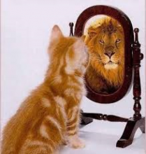 Cat seeing himself as a lion in a mirror